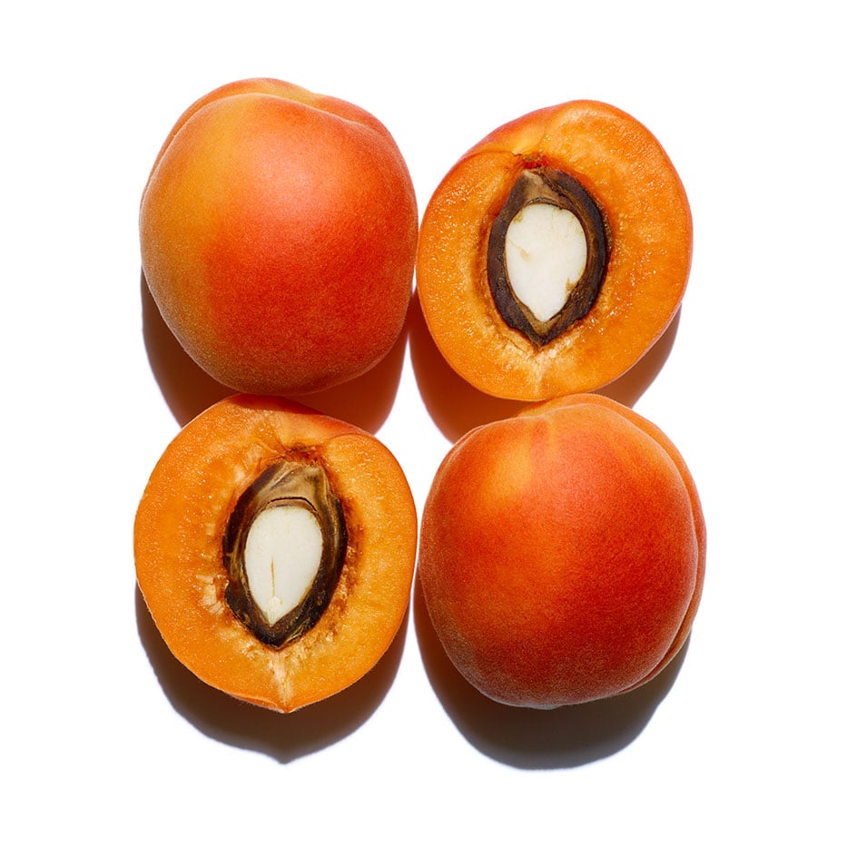 Apricot